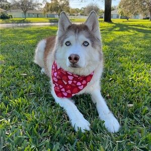 Meet your Posher, Kajal